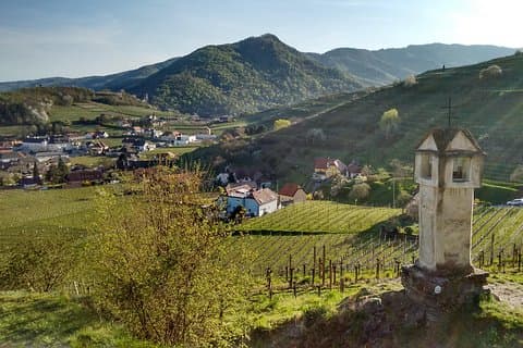 3-Hour Private Hiking Tour to historic places around Spitz in Wachau Valley