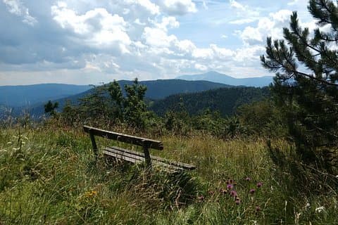 4-Hour Private Alpine Hiking Tour 'Enzian'