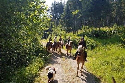 Trail riding in the Gesaeuse National Park