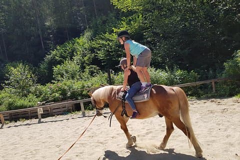 Equestrian adventure day for big and small horse lovers