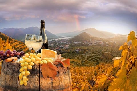 Vienna Wine Tasting Tour with Private Wine Expert