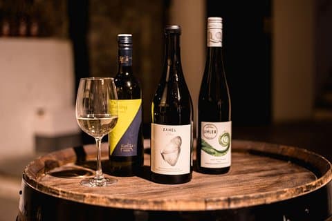 Viennese Wine Tasting in a Private Hidden Wine Cellar