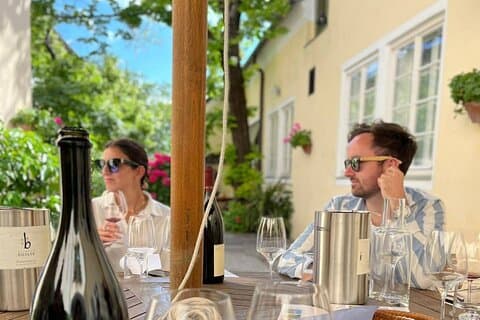 Vienna Woods Private Wine Tour: Local Vineyards & Scenic Views