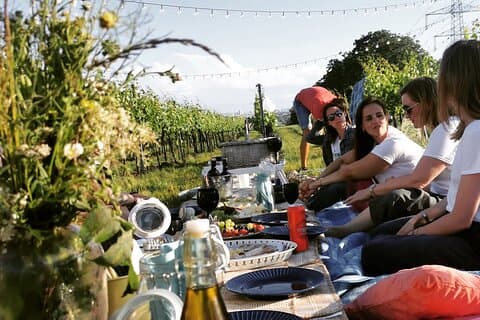 Wine Picknick overlocking vienna
