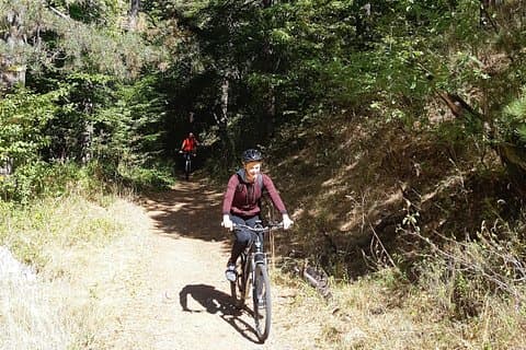 We can start with easy trails for beginners and adjust to suit more experienced bikers.