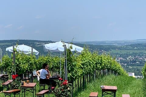 Wieninger Winery Nußberg