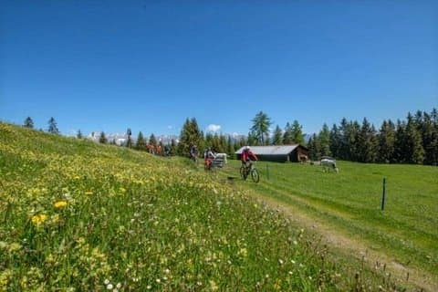 Panorma E-Bike Tour Seefeld