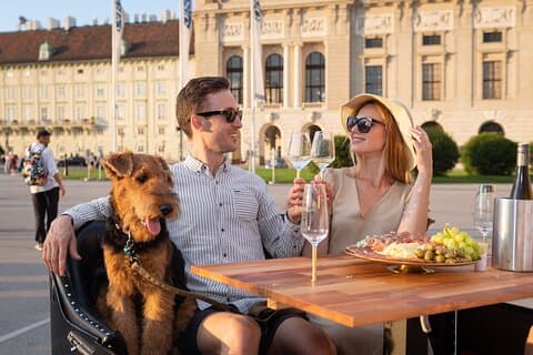 Presentation of three famous Austrian wines by the driver