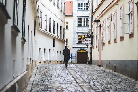 Mystery rally : True Viennese crime story(s)