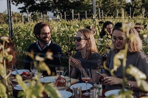 Sipping Viennese Gemischter Satz (field blend) in the vineyards.