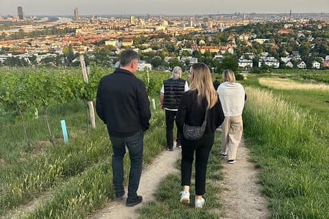 Viennese Vineyards Wine Hiking Experience