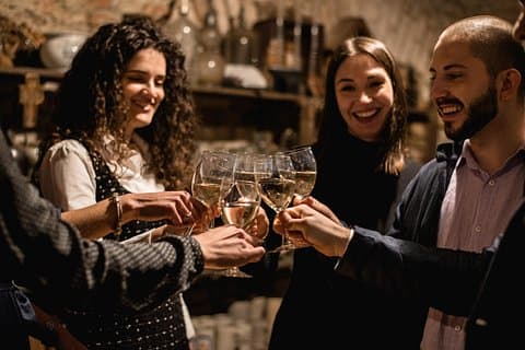 Viennese wine tasting in a private historic wine cellar