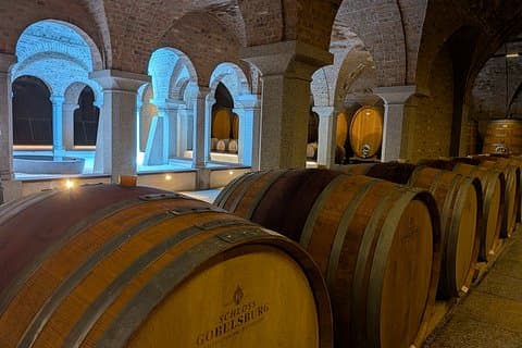 Private Wine Day: 2000 Years of Austrian Wine in Wachau & Kapmtal