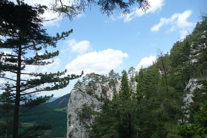 4-Hour Private Alpine Great George at High Wall Mountain from Vienna