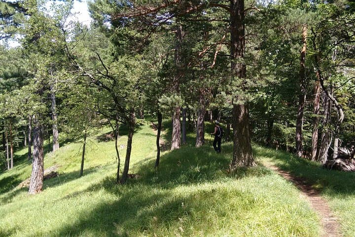 4-Hour Private Alpine Hiking Tour 'Enzian'