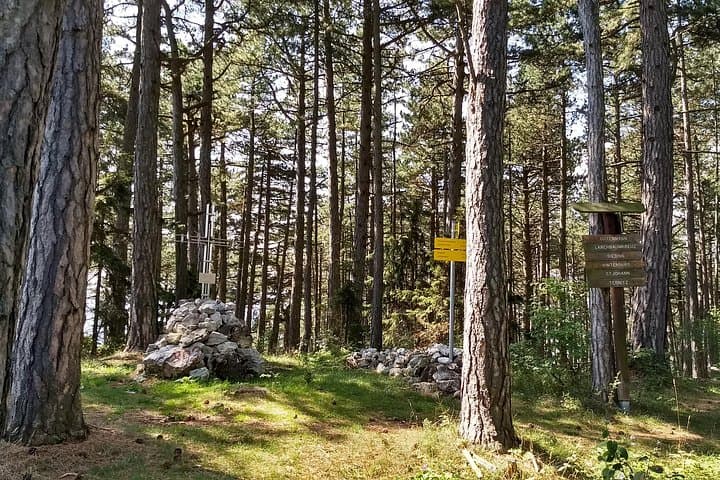 2 Hour Private Alpine Hiking, Gosing Mountain Vienna Tour