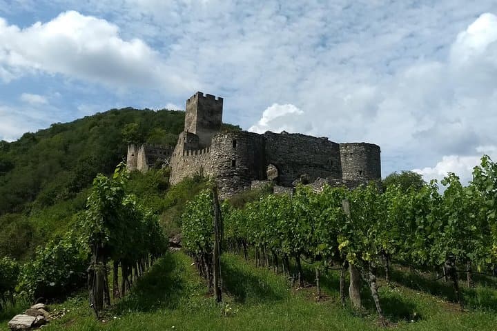 3-Hour Private Hiking Tour to historic places around Spitz in Wachau Valley