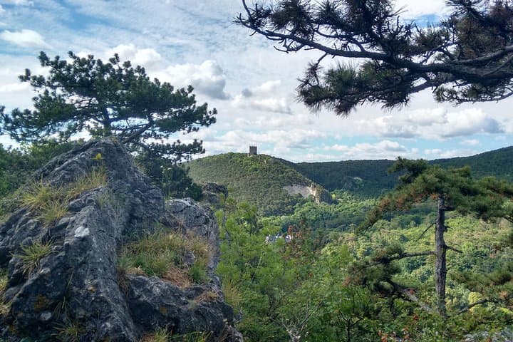2-Hour Private Hiking Tour Helenental Castles Hike from Vienna