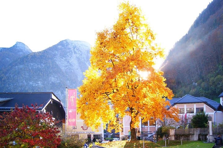 Hallstatt & Ort Castle, Alpine Lakes Guided Day Trip.