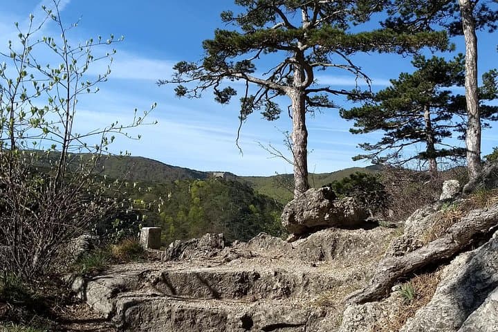 2-Hour Private Hiking Tour on Kalenderberg Mountain to Meet History from Vienna