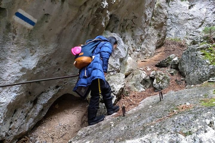 4-Hour Private Alpine Great George at High Wall Mountain from Vienna