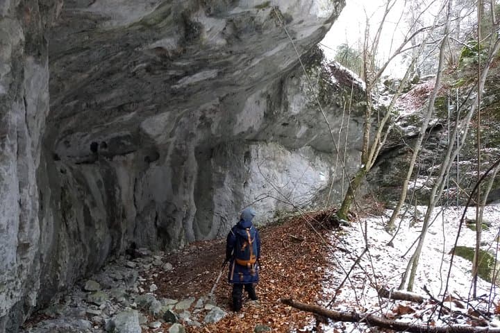 4-Hour Private Alpine Great George at High Wall Mountain from Vienna