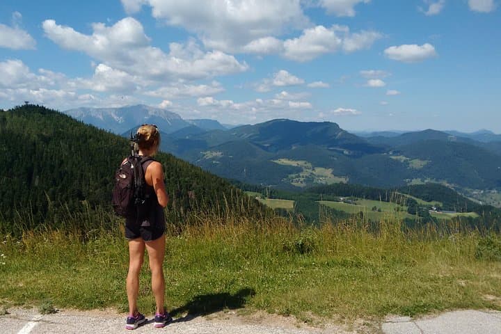 4-Hour Private Alpine Great George at High Wall Mountain from Vienna