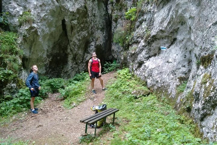 4-Hour Private Alpine Great George at High Wall Mountain from Vienna
