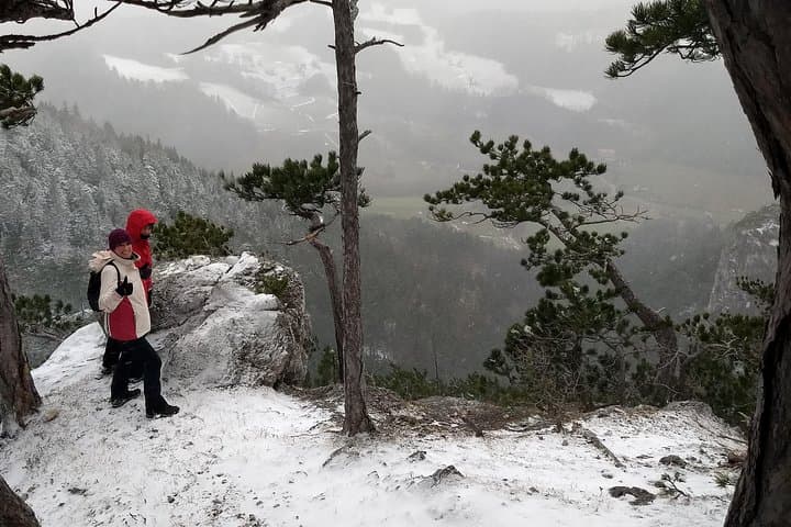 4-Hour Private Alpine Great George at High Wall Mountain from Vienna
