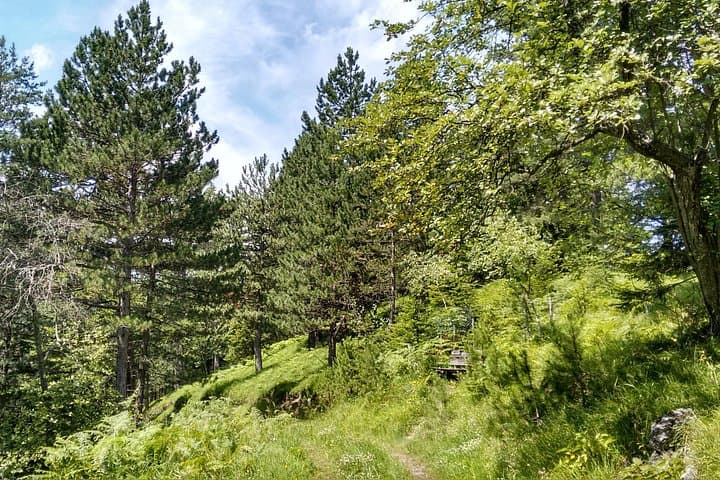 4-Hour Private Alpine Hiking Tour 'Enzian'