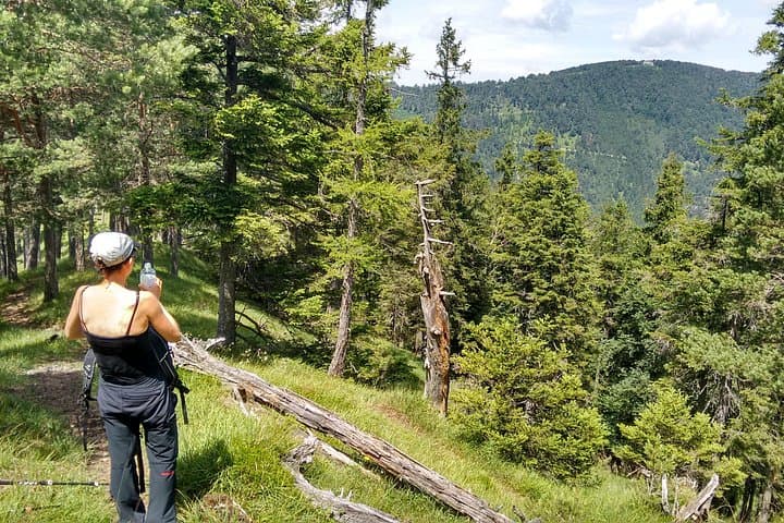 4-Hour Private Alpine Hiking Tour 'Enzian'