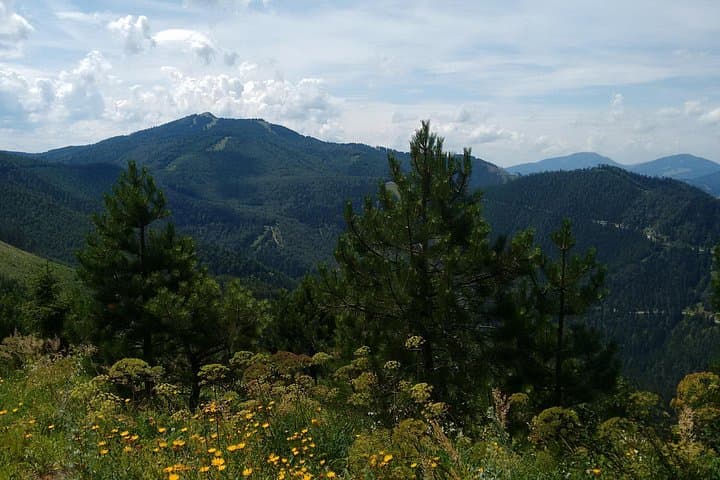 4-Hour Private Alpine Hiking Tour 'Enzian'