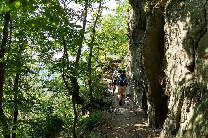 4-Hour Private Alpine Hiking Tour 'In the footsteps of king Lionheart'