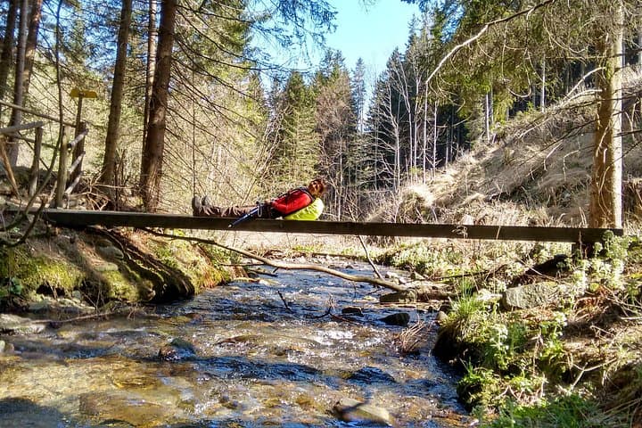 5-Hour Private Alpine Hiking Tour 'Wild water at Hochwechsel'