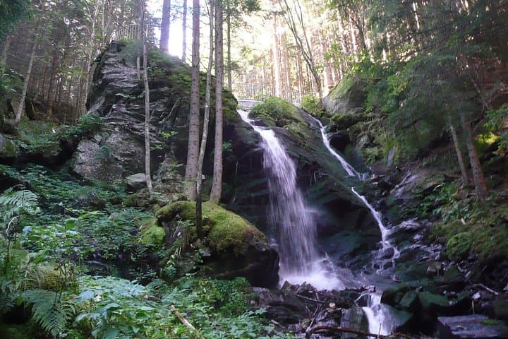 5-Hour Private Alpine Hiking Tour 'Wild water at Hochwechsel'