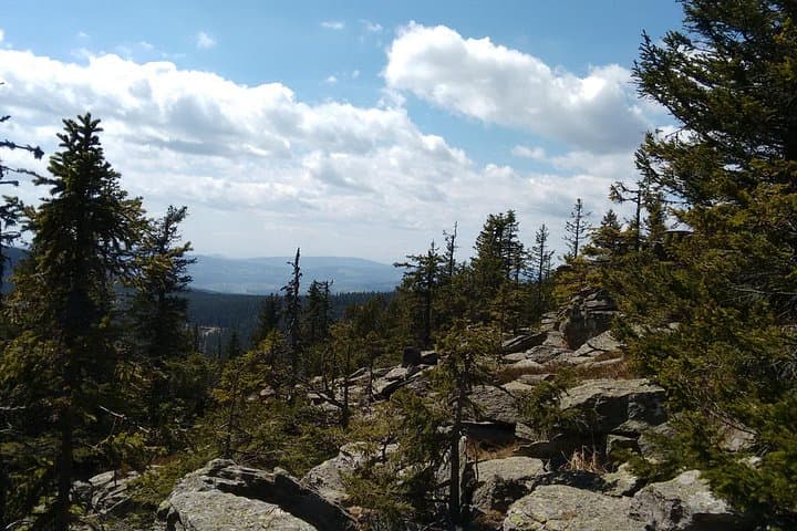 5-Hour Private Alpine Hiking Tour 'Wild water at Hochwechsel'