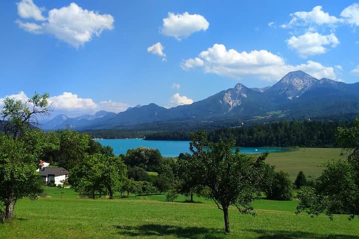 Lake Millstatt & Medieval Towns: Private Tour with Scenic Stops