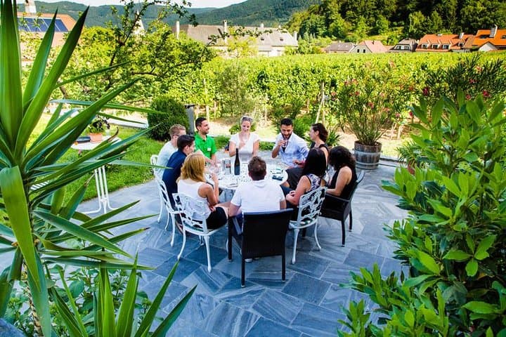 Wachau Valley Small-Group Tour and Wine Tasting from Vienna