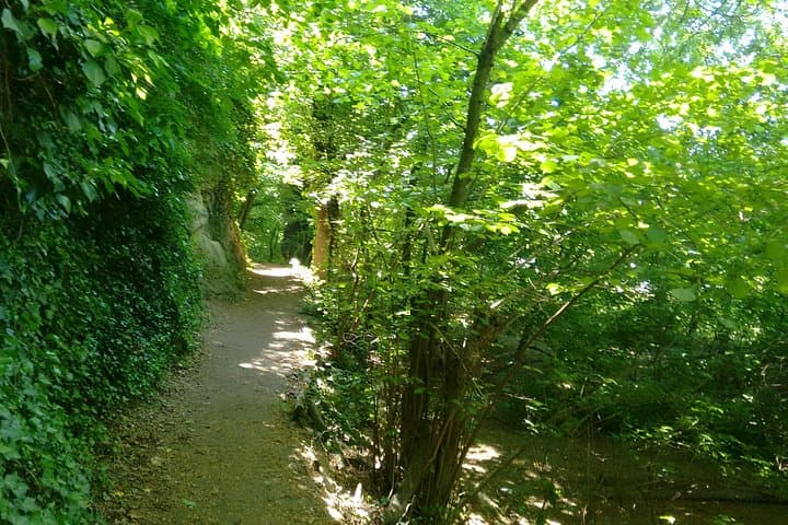 2-Hour Private Hiking Tour to Meet History at Braunsberg Mountain from Vienna
