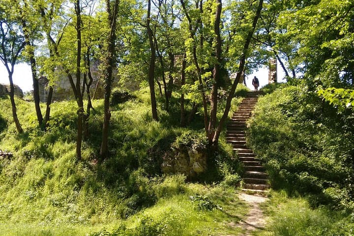 2-Hour Private Hiking Tour to Meet History at Braunsberg Mountain from Vienna
