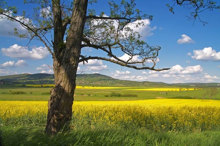 Driving around the Hungarian countryside