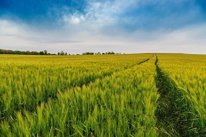 Driving around the Hungarian countryside