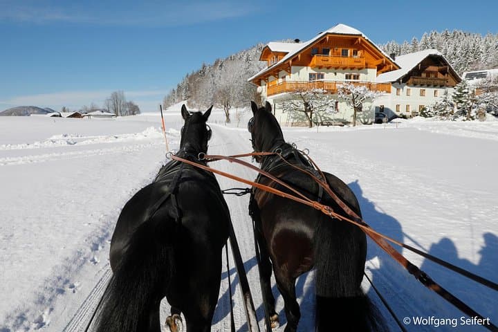 Christmas Horse-Drawn Sleigh/Carriage Ride from Salzburg
