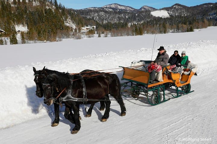 Christmas Horse-Drawn Sleigh/Carriage Ride from Salzburg