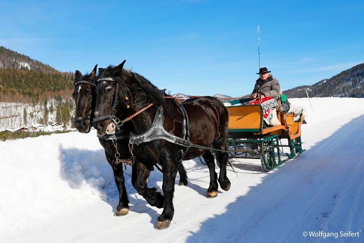 Christmas Horse-Drawn Sleigh/Carriage Ride from Salzburg