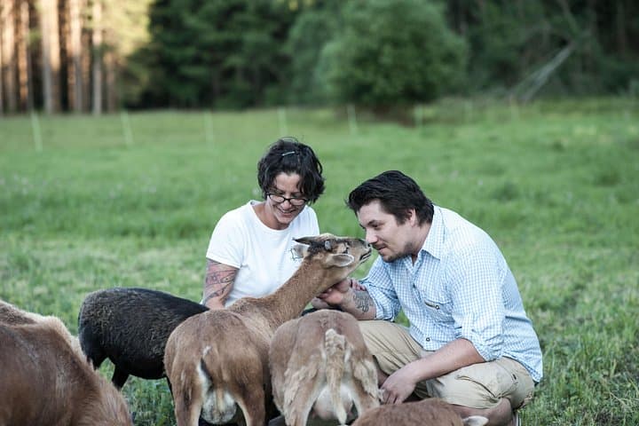 Adventure lesson with farm animals