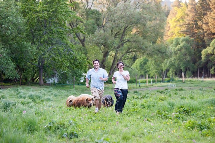 Adventure lesson with farm animals