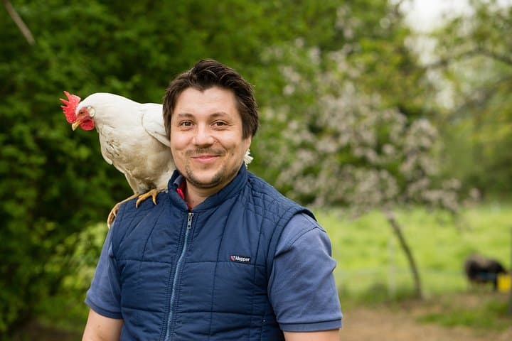 Adventure lesson with farm animals