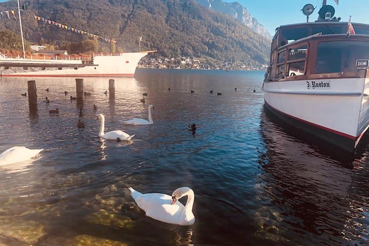 Fully private - SALZBURG, HALLSTATT & MELK ABBEY!