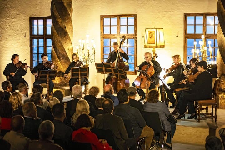 Mozart Chamber Orchestra